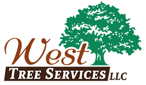 West Tree Services LLC